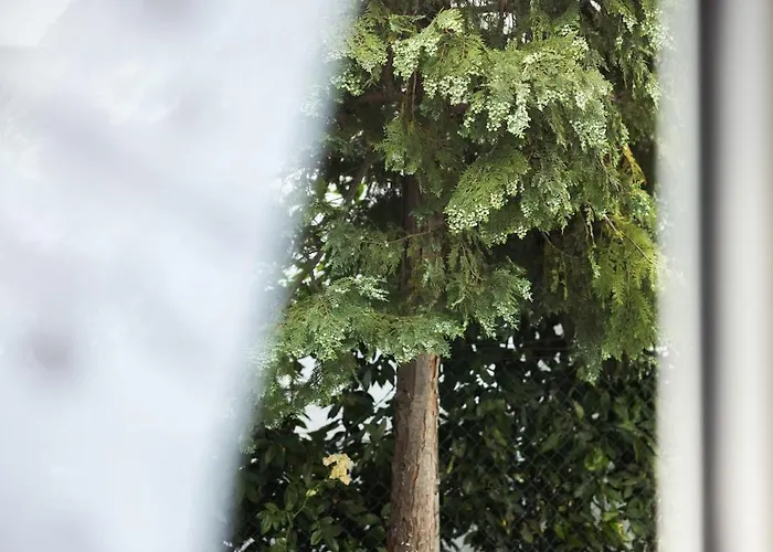 Residenza Adriatica - Daire Riccione