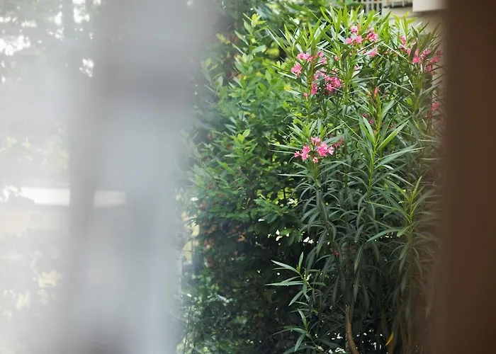 Residenza Adriatica - Riccione