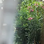 Residenza Adriatica - Riccione