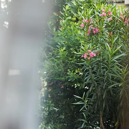 Residenza Adriatica - ריצ'יונה