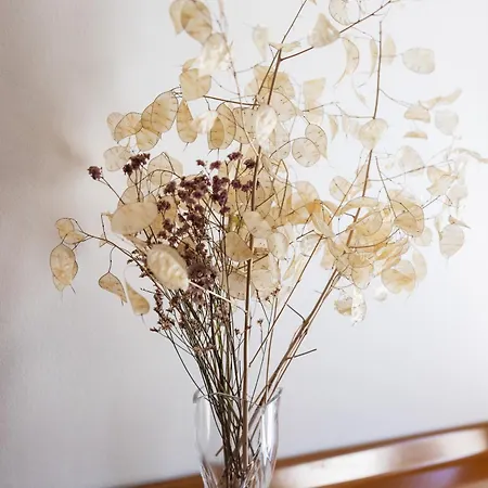 דירה Residenza Adriatica - ריצ'יונה