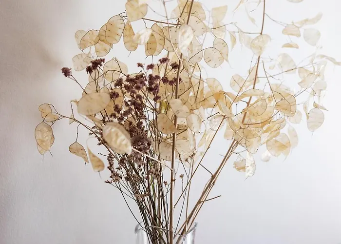 Apartmán Residenza Adriatica - Riccione